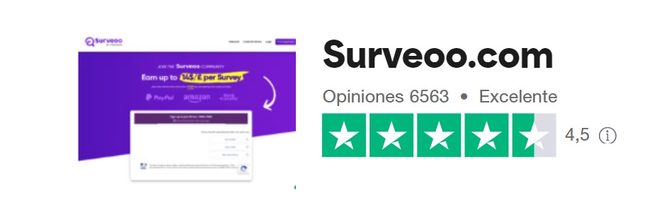 surveoo opiniones