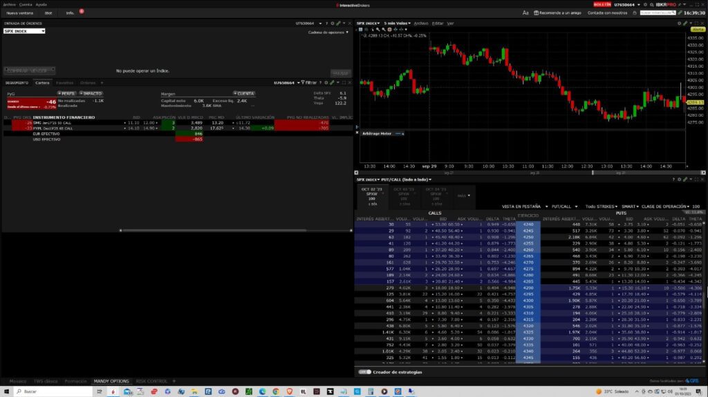 Trader Workstation (TWS)