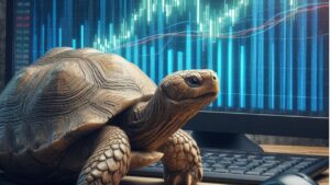 estrategia de las tortugas